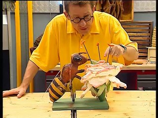 C'est pas sorcier -Le déclin des Abeilles