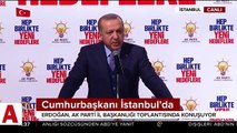 Cumhurbaşkanı Erdoğan: Gençlerimizin  siyasete girmesini önemsiyoruz