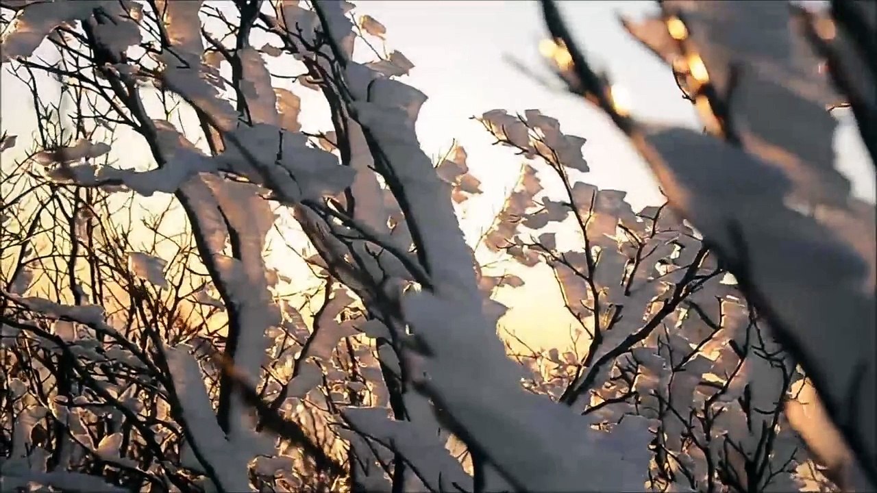 Sunrise, sky and ice