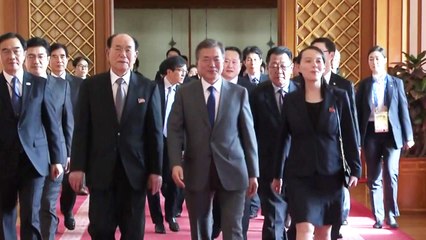 김여정, 文 대통령에게 '김정은 친서' 전달 / YTN