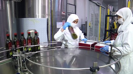 'Zeytinyağında yüksek fiyat, üreticinin moralini bozuyor' -  MANİSA