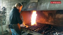 Plouezoc'h (29). Forgeron. Julien entretient la flamme