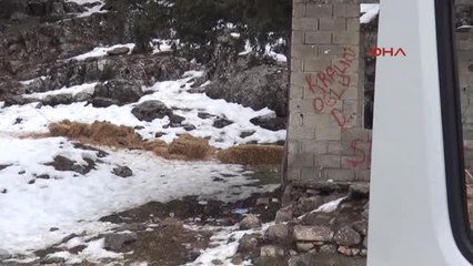 Mersin-Yaban Hayvanları İçin Doğaya Yem Bırakıldı