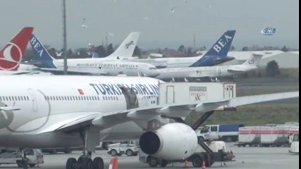 İstanbul Atatürk Havalimanı'nda İlginç Görüntü