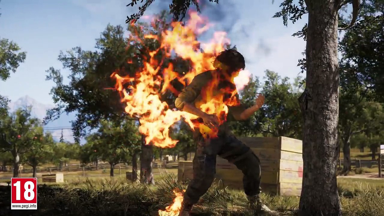 Far Cry 5 Sharky Boshaw – Amici Mercenari