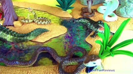 Wild Animals - Crocodiles Alligator & Lots of Scary Snakes! Serpiente serpente jibóia