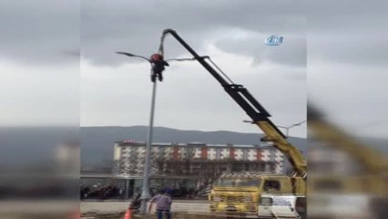 Aydınlatma Direğinde Tehlikeli Çalışma