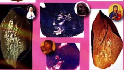 Miracle aux Philippines - Sainte Vierge Marie - Petales de roses