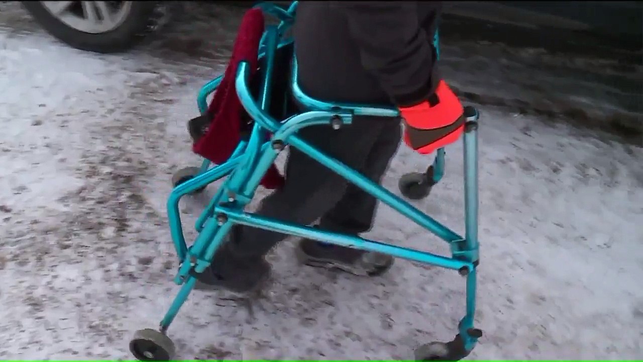 Horses Provide Kids with Disabilities a Healing Connection