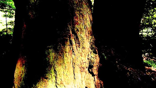 BRAIN, the last enigma - Now in High Quality! (Full Documentary)