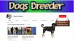 top 10 dog dancing hot dog-dog breeds -funny dogs -notice dog face