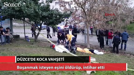 Descargar video: Boşanmak isteyen eşini öldürüp, intihar etti