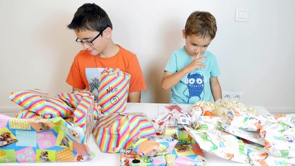 Le SWAP SURPRISE de Marine pour Swan & Néo - Partie 1