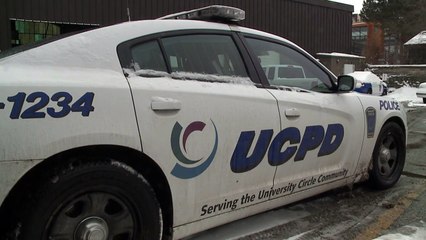 Police Rescue Stray Dog from Icy Pond