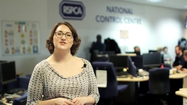 How to report animal cruelty to the RSPCA
