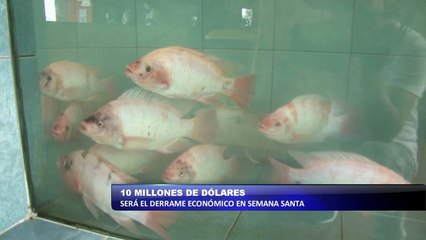 10 millones de dolares sera el derrame económico en semana santa