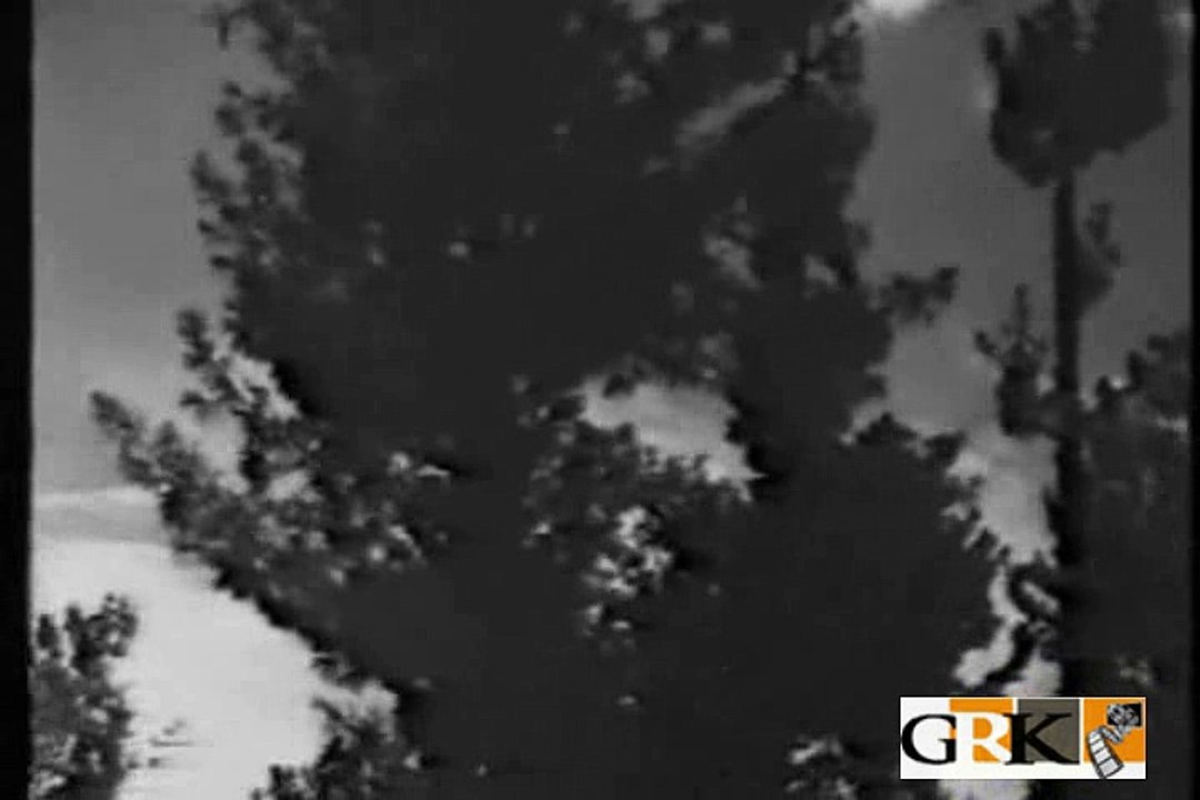 DIL E VERAN HAI TERI YAAD HAI - MEHDI HASSAN - AINA