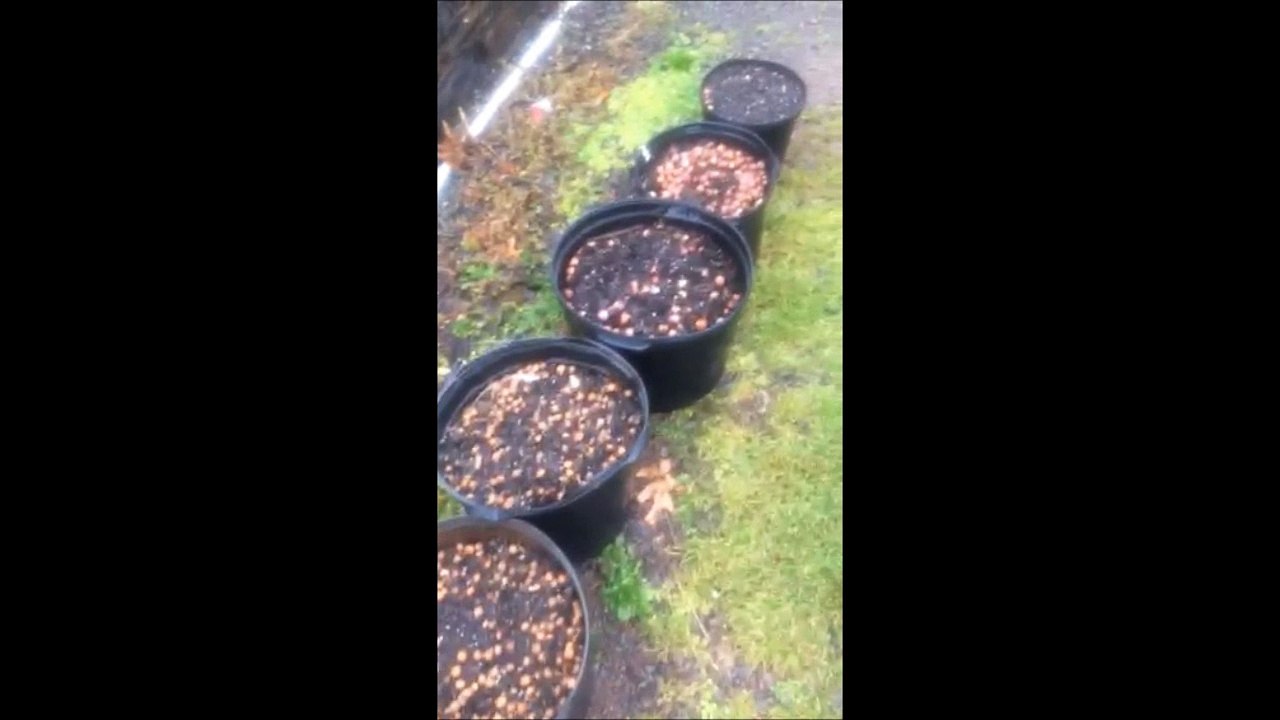 How The Donald Effects Our Farm