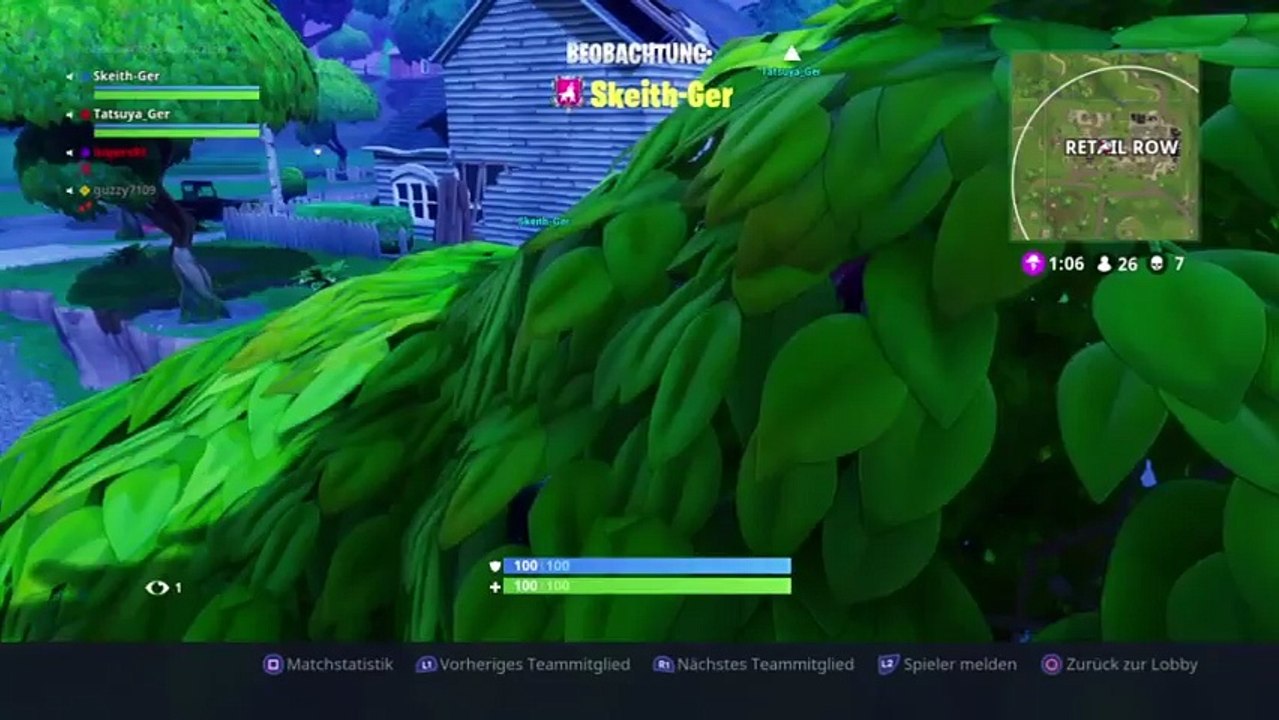 Fortnite (18)