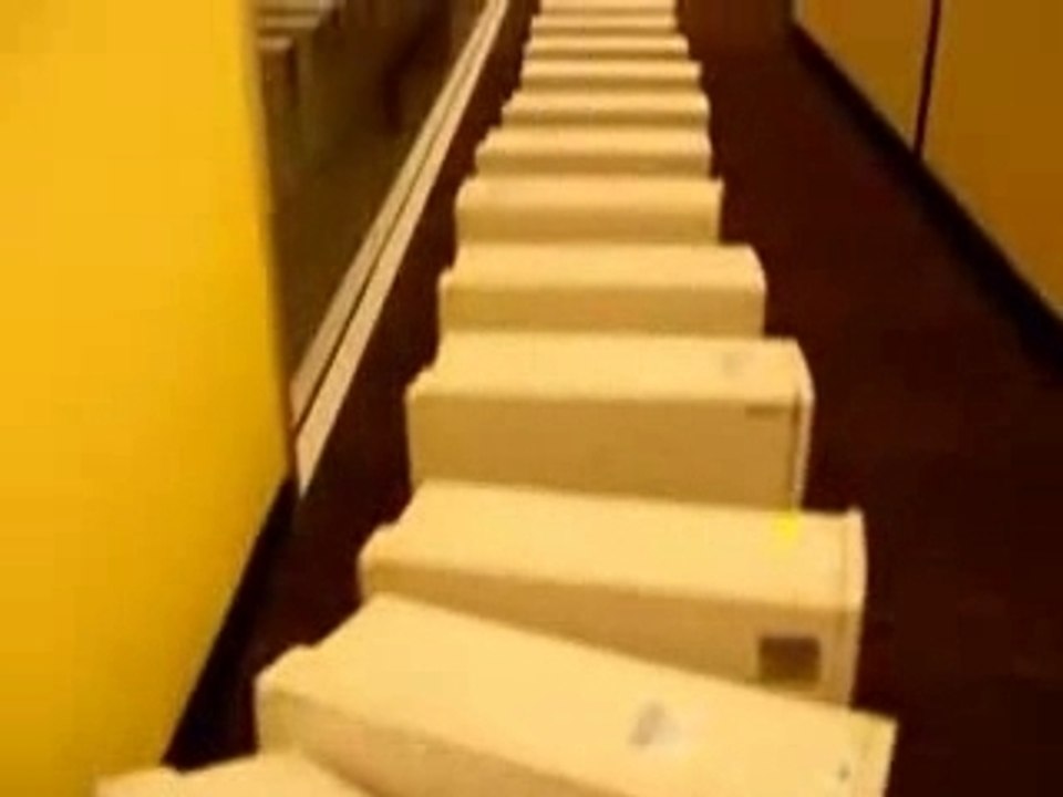 Domino PC