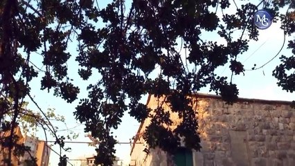 Zawjati Ana S1 EP 15  مسلسل زوجتي أنا ج1 الحلقة 15