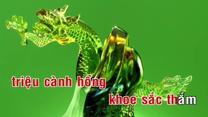 Triệu Đóa Hồng - Ái Vân