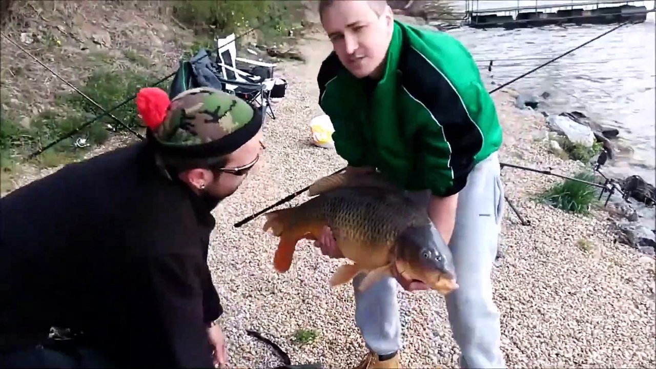 El que ríe el último ríe mejor Incluso los peces