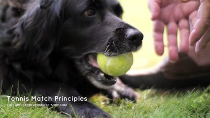 Master the Fundamentals: Essential Principles for Winning Tennis Matches 🎾