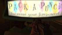 Black Ops 2 Zombies *New* Perma Perk Pack-A-Punch