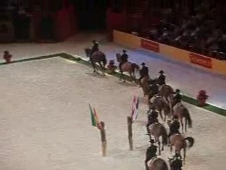 Les 4 écoles d'art équestre à Bercy