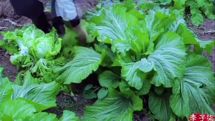 شاهد هذا الفيديو وسوف ترتاح نفسيا