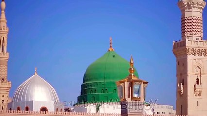 Holy prophet (p.b.u.h)
