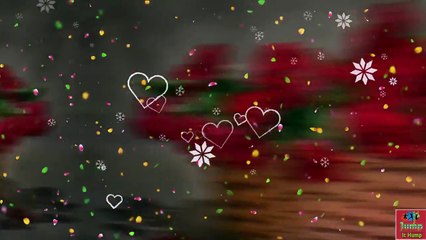 Happy Hug Day ,,, Lovely Wishes For You ,,,Top Special Wish GF and BF ,,, Whatsapp Status Video