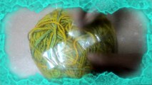 Dyed Yarn for Crochet