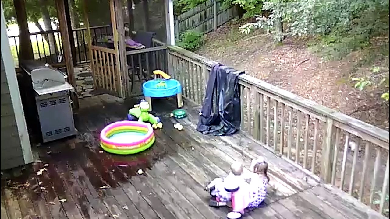 You Will Laugh Till You FART - World's FUNNIEST Compilation Videos