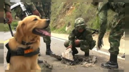 Doble atentado sin víctimas del ELN en Colombia