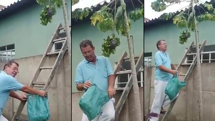 Comment se débarasser d'un nid de guêpes