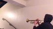 Frissons : musique de Star Wars jouée dans un escalier par un trompettiste !