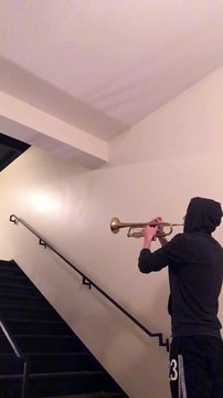 Frissons : musique de Star Wars jouée dans un escalier par un trompettiste !