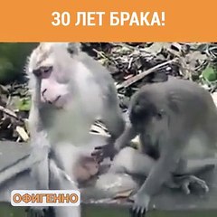 После 30 лет брака.....