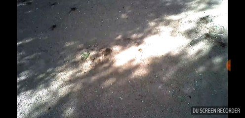 GoolRC T5W Pro: Sample video