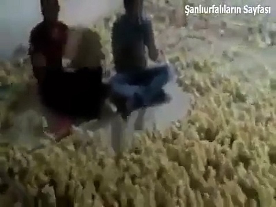 En güzel konser