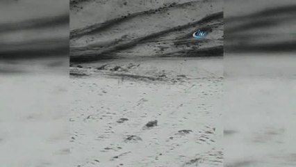 Isparta'da Düşen Uçağın Parçaları Bir Havacılık Okulunda Sergilenecek