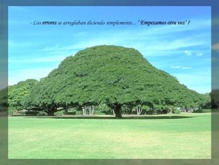 TE ACUERDAS?