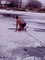 Sibérie : Il sauve son chien pris aux pièges dans ce lac gelé