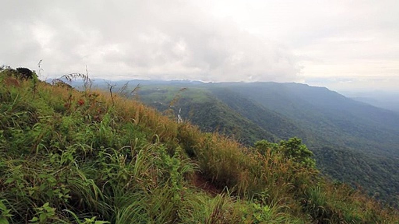 Neelimala View point. Wayanad