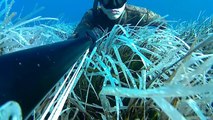 Spearfishing in the Aeolian Islands 2017