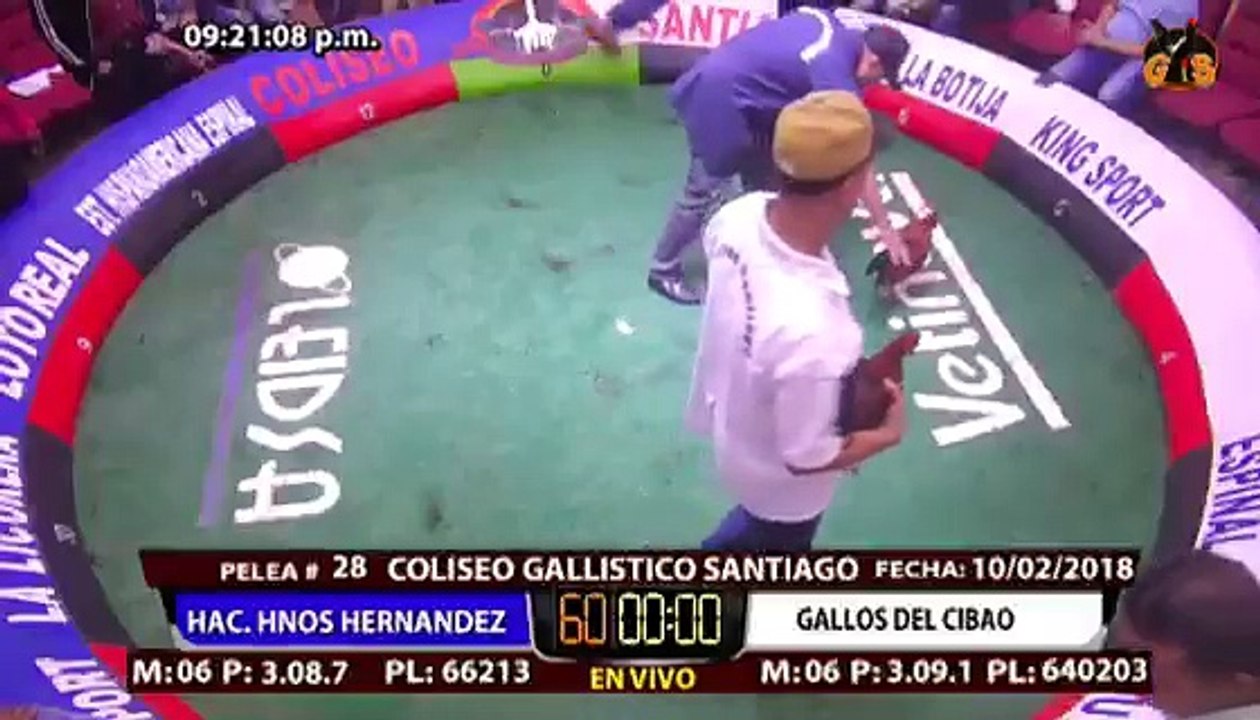 Gallos del cibao vs hac. Hnos. Hernandez