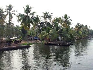 The Backwaters of Kerala