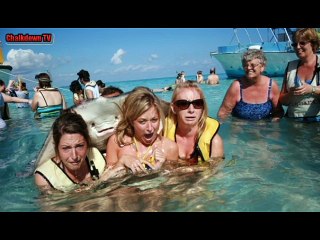 25-perfectly-timed-photos that will amaze you